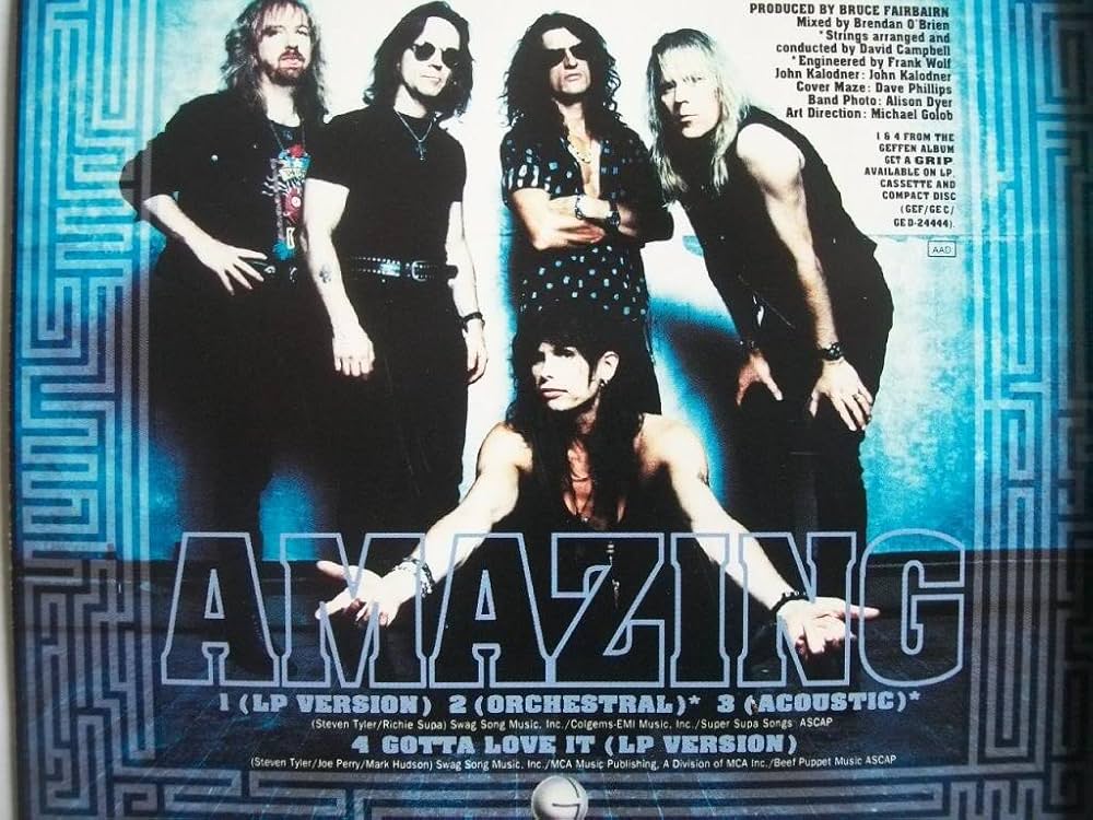 ✨️中古レアDVD✨️Aerosmith U See Me Crying2009 ✨️中古レアDVD✨️Aerosmith U See Me Crying2009 - メルカリ